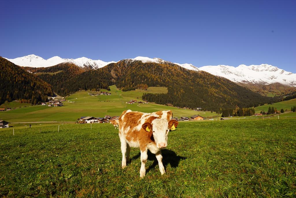 Unterhabererhof Διαμέρισμα Santa Maddalena in Casies Εξωτερικό φωτογραφία