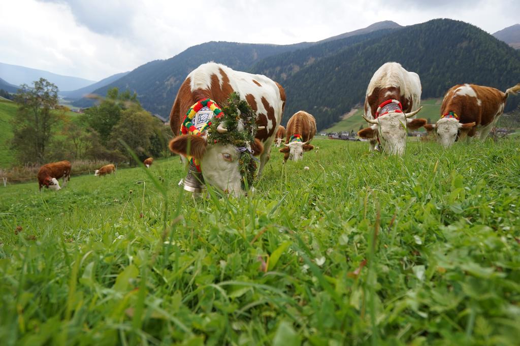Unterhabererhof Διαμέρισμα Santa Maddalena in Casies Εξωτερικό φωτογραφία