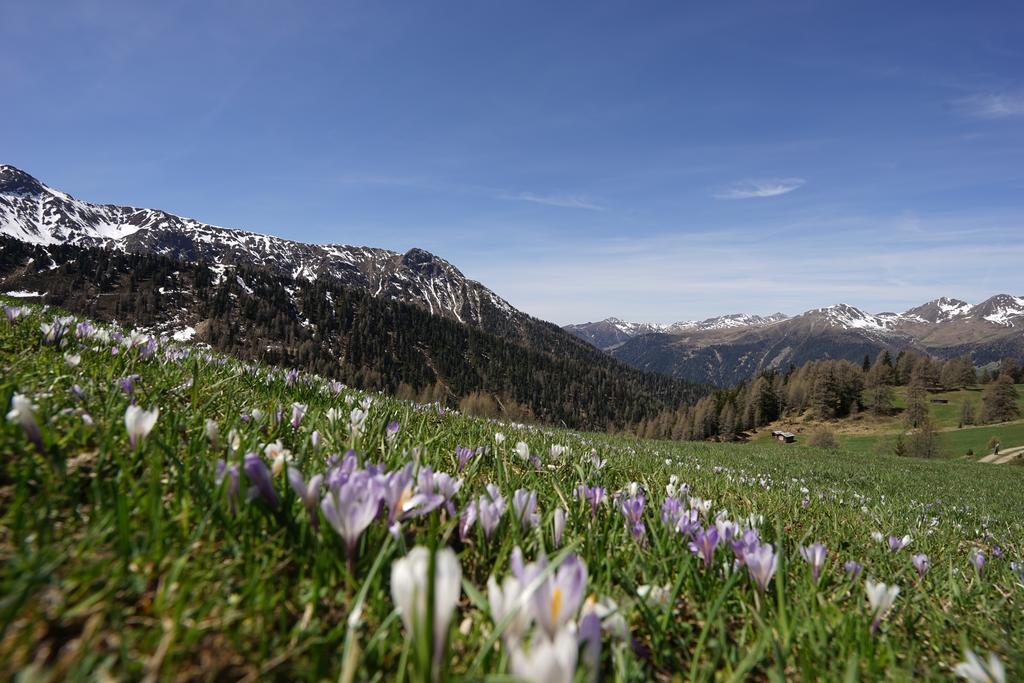Unterhabererhof Διαμέρισμα Santa Maddalena in Casies Εξωτερικό φωτογραφία