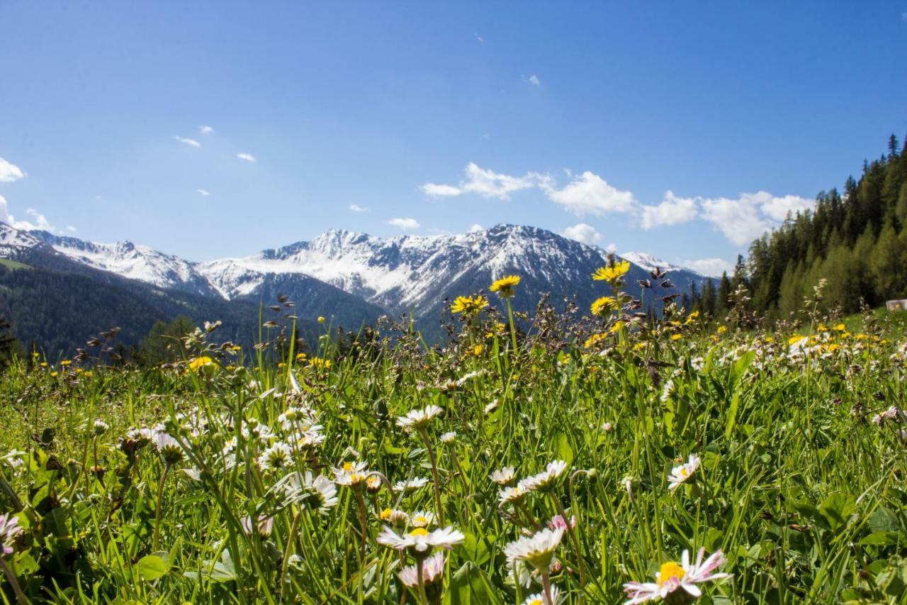 Unterhabererhof Διαμέρισμα Santa Maddalena in Casies Εξωτερικό φωτογραφία
