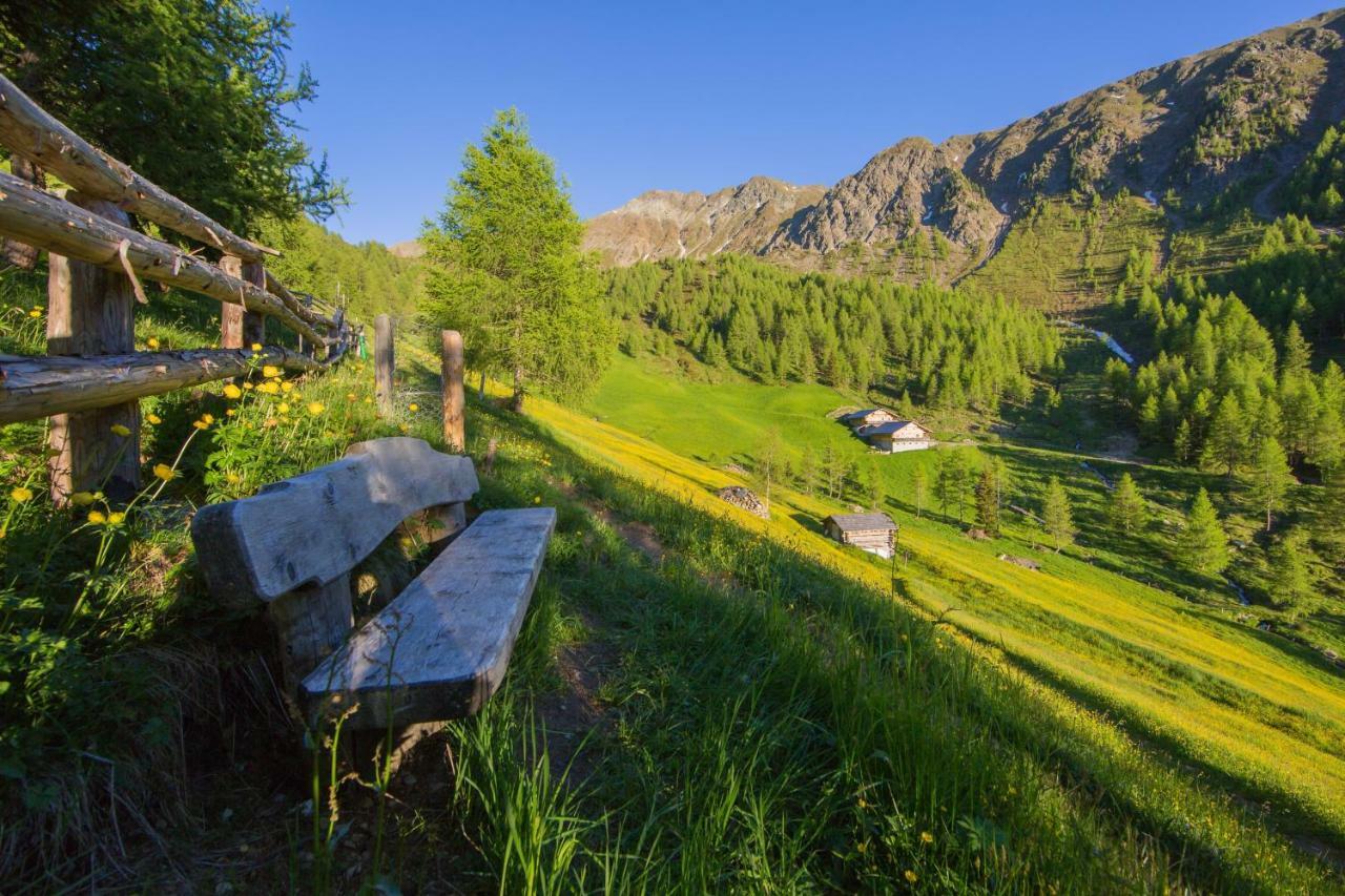 Unterhabererhof Διαμέρισμα Santa Maddalena in Casies Εξωτερικό φωτογραφία